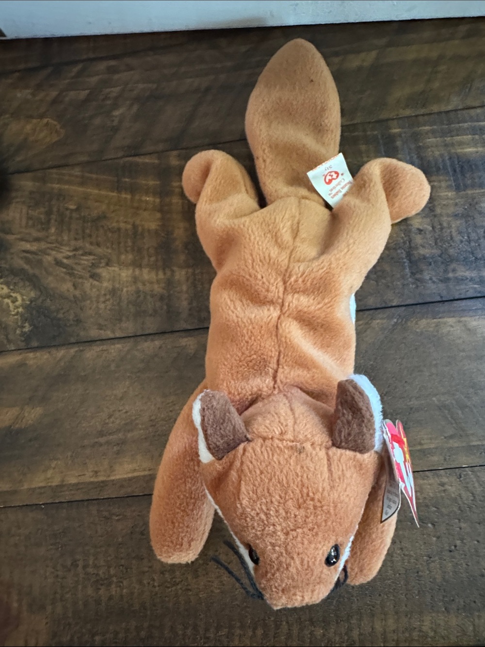 Beanie Baby “SLY” Ty  - Brown Beaver Plush with Red Heart Tag